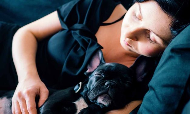 O que fazer para dormir? Cinco técnicas para dormir num piscar de olhos