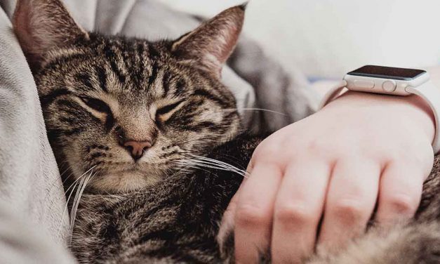 Como evitar ter o braço dormente enquanto dorme na posição de conchinha