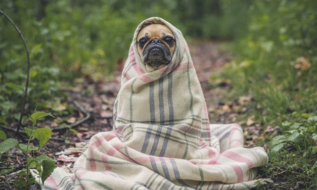 Dormir com frio