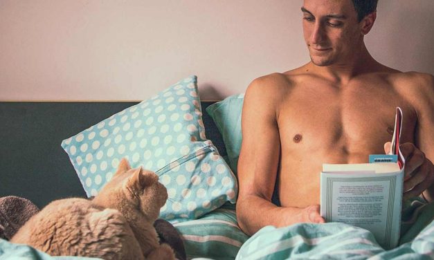 É bom dormir com o seu animal de estimação?