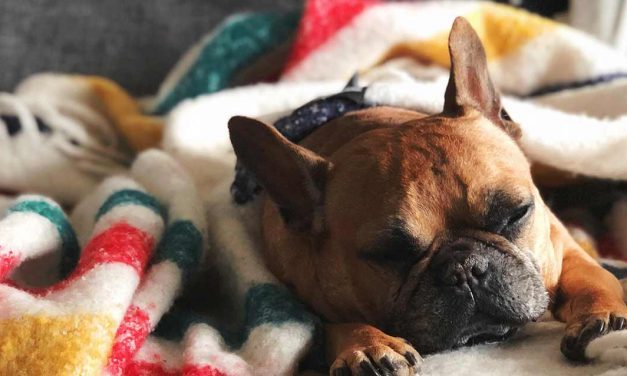 Dormir mais nos fins de semana pode prolongar a minha vida?