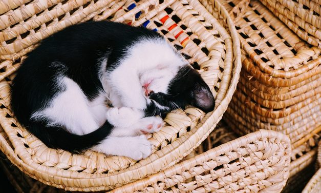 Diga como dorme e diremos que tipo de relação tem