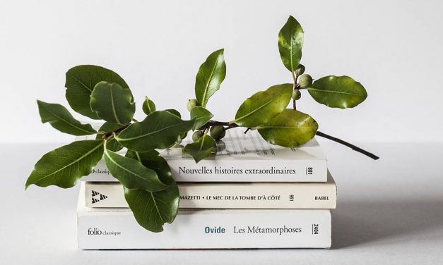 10 livros para ler no verão