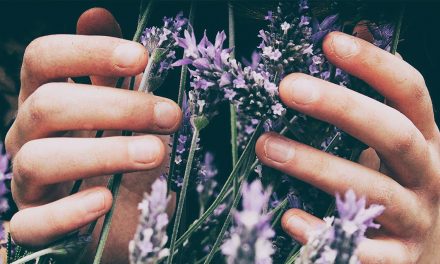 8 aromas que ajudam a dormir