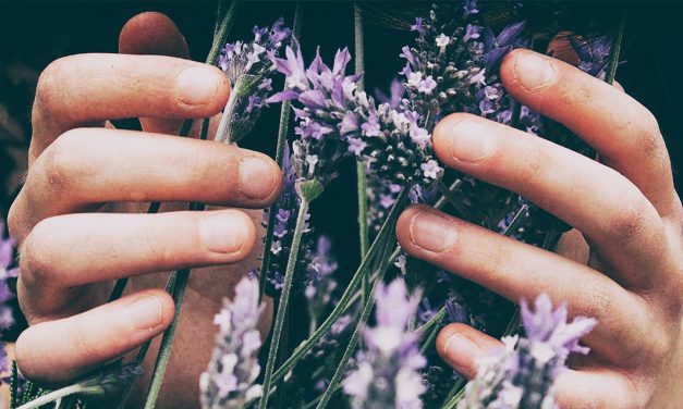 8 aromas que ajudam a dormir