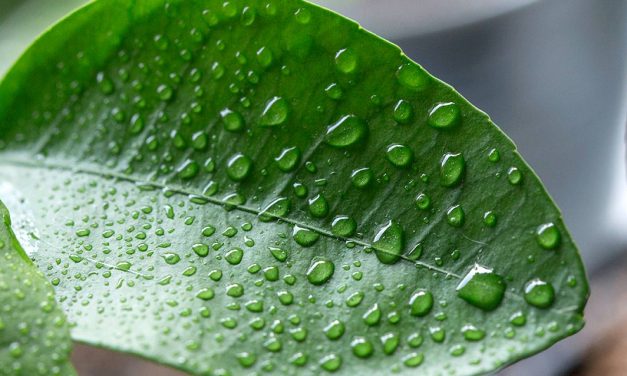 É bom ou mau usar um humidificador para dormir