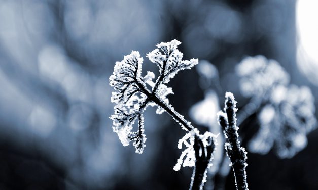 Como o frio afeta o sono