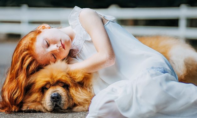 11 frases sobre os sonhos