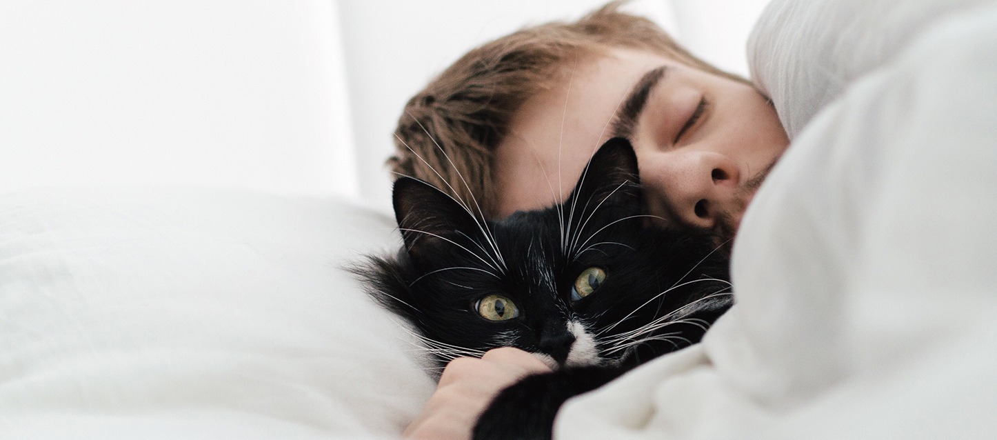 rapaz a dormir abraçado ao seu gato negro, e tapado com um edredão