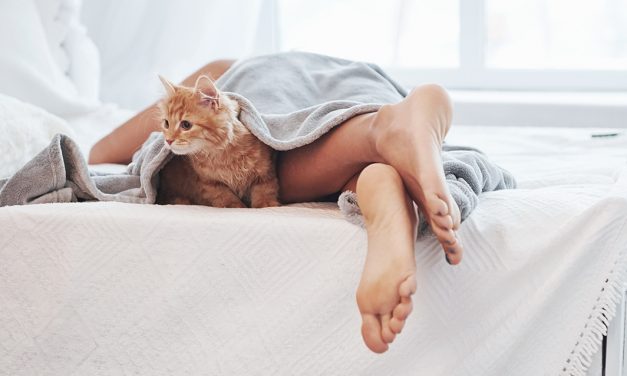 Descanso: por que é que me picam as pernas durante a noite?